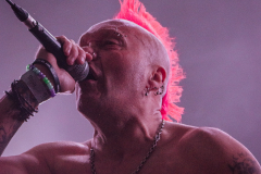 Augustin_THEEXPLOITED_-1