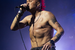 Augustin_THEEXPLOITED_-6