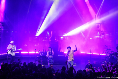Benoit_TherapieTaxi__DSC9315