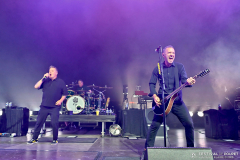FREDF_DROPKICK-MURPHYS__0181_04_07_2026