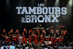 Benoit_LesTamboursduBronx_DSC_3404
