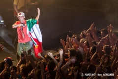 MC-Manu chao-IMG_4306