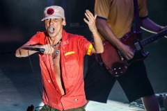 MC-Manu chao-IMG_4634