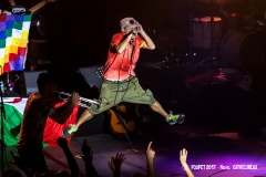 MC-Manu chao-IMG_4637