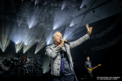 PaulBellenfant_SIMPLEMINDS_2024_c2_IMG_0065