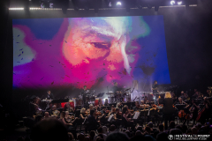PaulBellenfant_JohnnySymphonique_c2_IMG_7133