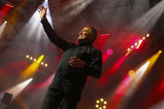 JuliePREAULT_JMBigard_0057