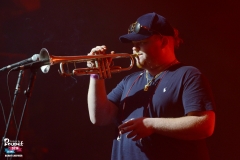 Benoit_TooManyZooz_DSC_3523