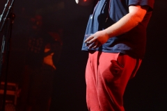 Benoit_TooManyZooz_DSC_3538