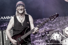 MC_DeepPurple_915-0964 _