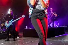 MC-IMANY-0452