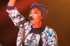 MC-IMANY-2-6